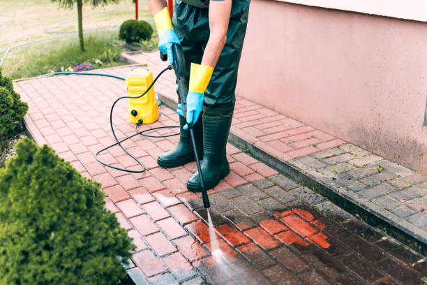 Best Pressure Washing Company Near Me  in Benjamin, UT