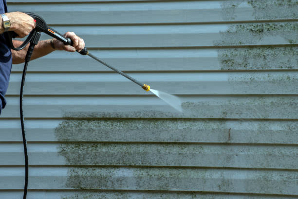 Best House Pressure Washing  in Benjamin, UT